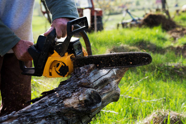 Best Seasonal Cleanup (Spring/Fall)  in West Chester, PA